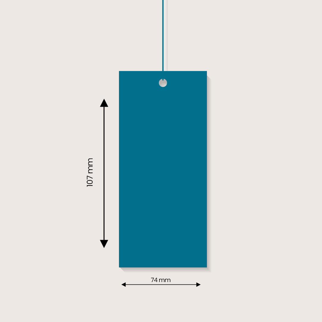 202976A7 Swing Tags01.png